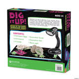Mindware DIG IT UP!: Glow it up dinosaur eggs (8 eggs)