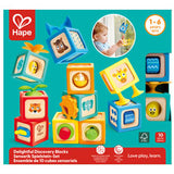 Hape Delightful Discovery Blocks