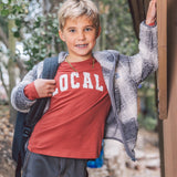 Feather 4 Arrow Locals L/S T-shirt - Canyon Red
