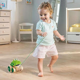 Hape Frog Pull Along