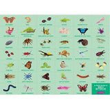 Mudpuppy Search & Find Puzzle - Bugs & Butterflies - hip-kid