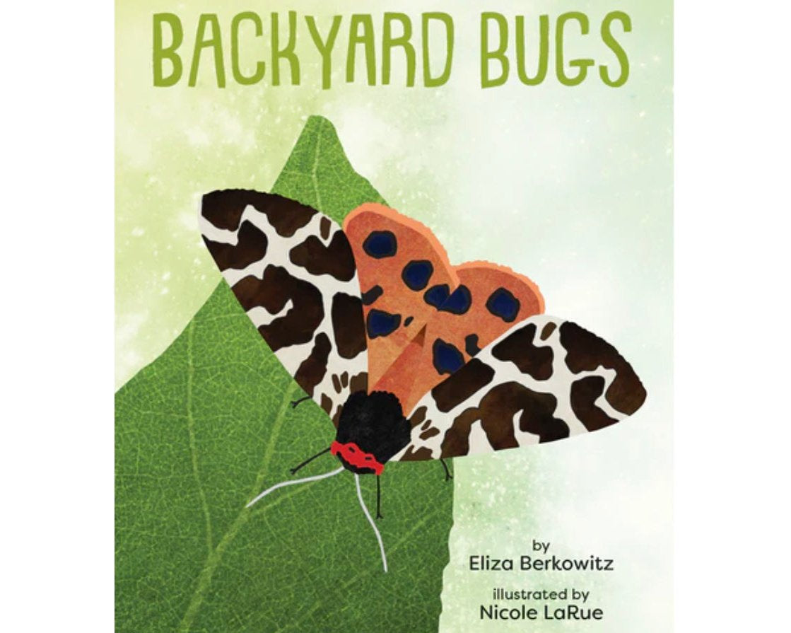A Kid’s Guide to Backyard Bugs - hip-kid