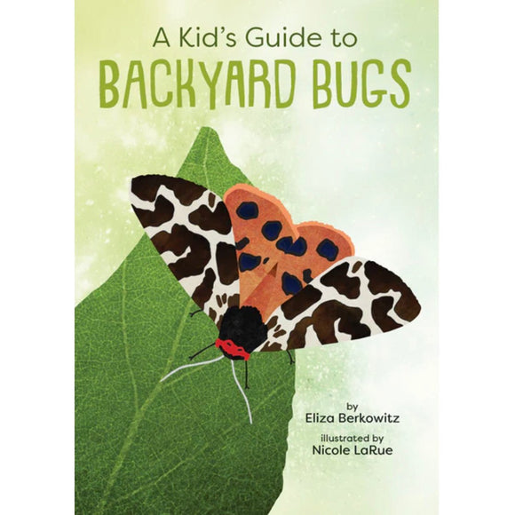 A Kid’s Guide to Backyard Bugs - hip-kid