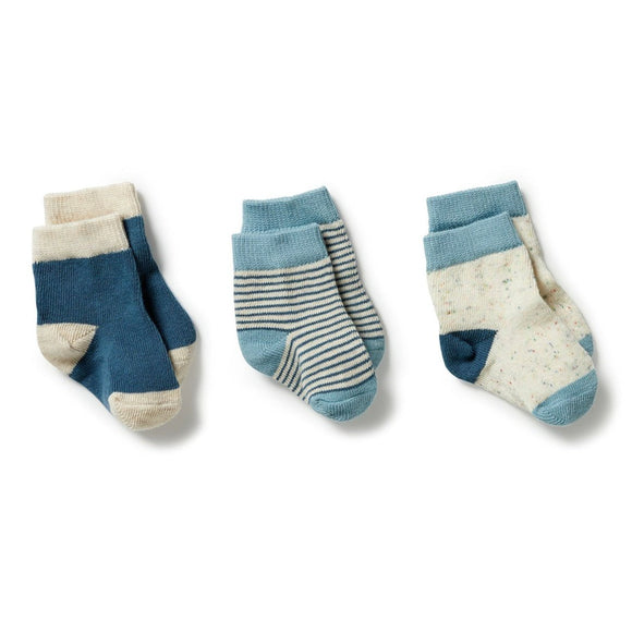 Wilson & Frenchy Organic 3 Pack Baby Socks - Bluestone/Sterling/Oatmeal - hip-kid