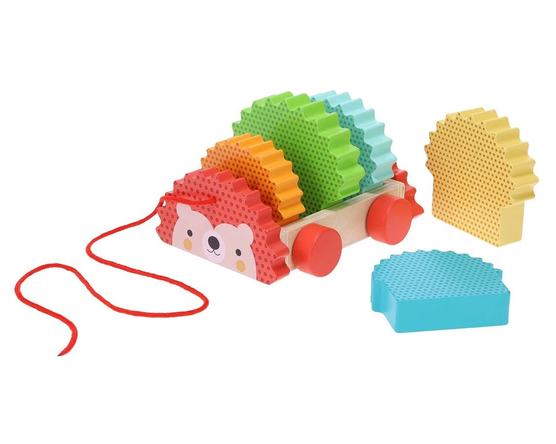 Petit Collage Rainbow Hedgehog Wooden Pull Toy - hip-kid
