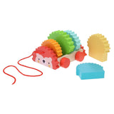 Petit Collage Rainbow Hedgehog Wooden Pull Toy - hip-kid