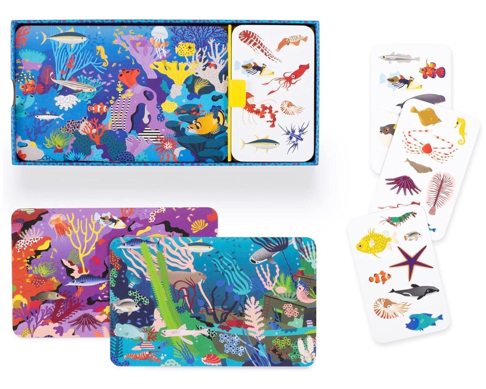 Who’s Hiding…in the Ocean? - hip-kid