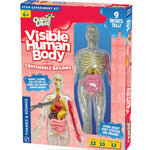 Thames & Kosmos Visible Human Body - hip-kid