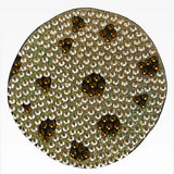 StickerBeans Chocolate Chip Cookie - hip-kid