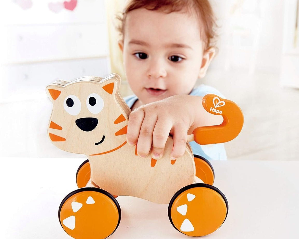 Hape Dante Push & Go - hip-kid