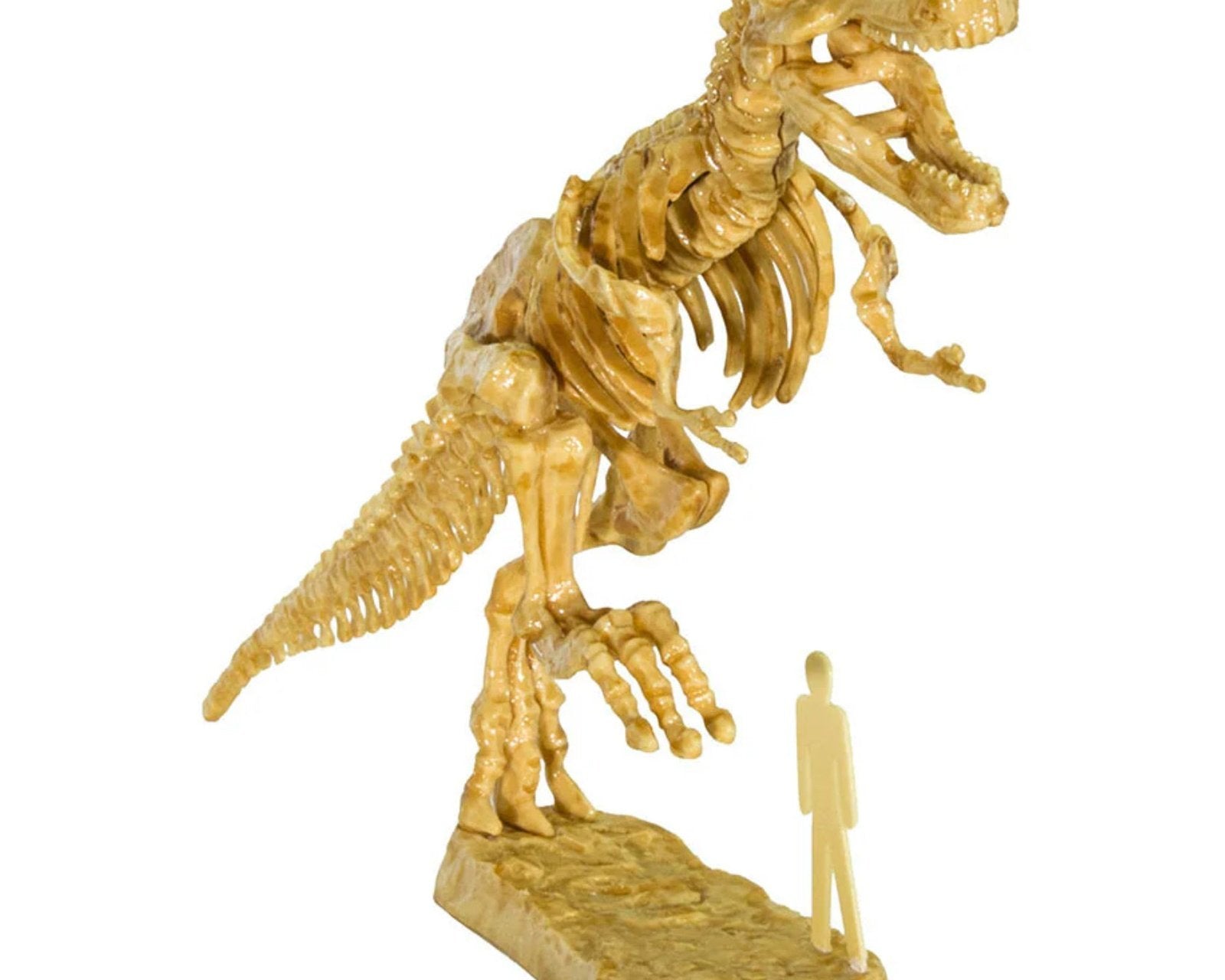 Thames & Kosmos i Dig it! 3D T-Rex Excavation Kit - hip-kid