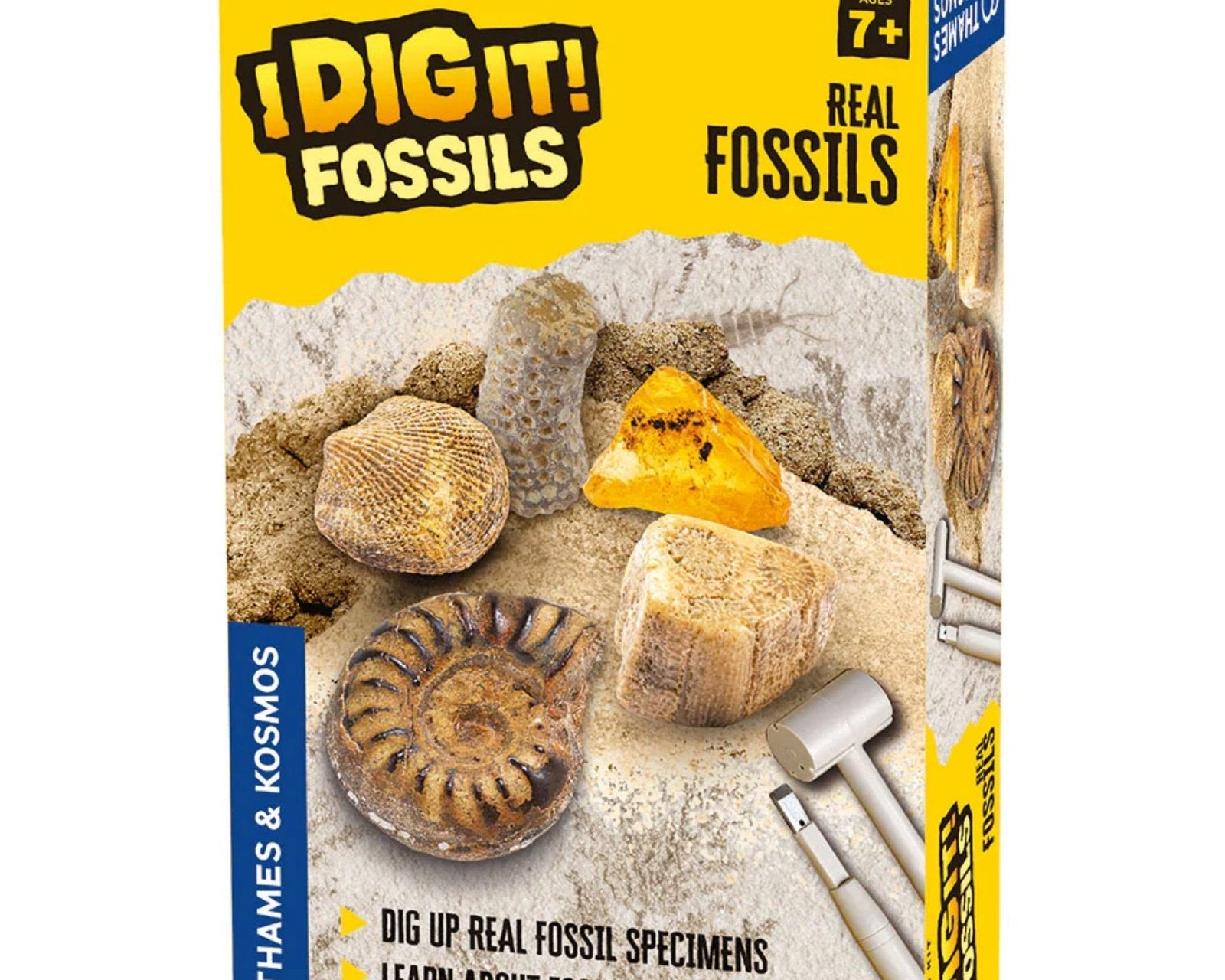 Thames & Kosmos i Dig it! Fossils Excavation Kit - hip-kid