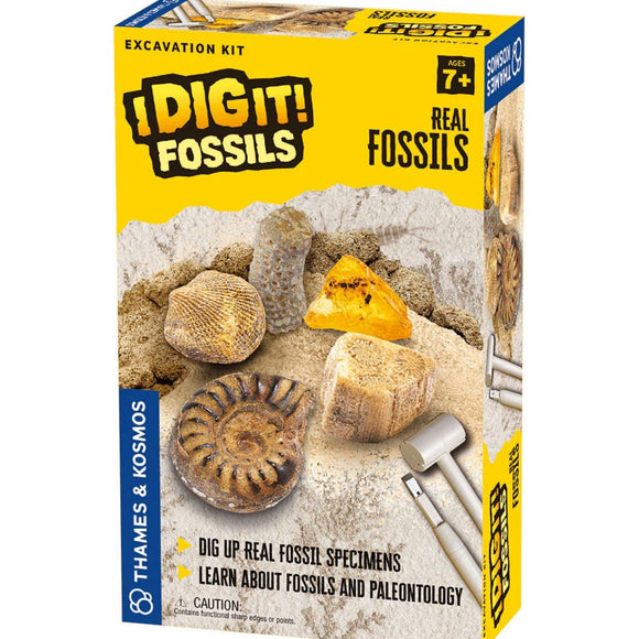 Thames & Kosmos i Dig it! Fossils Excavation Kit