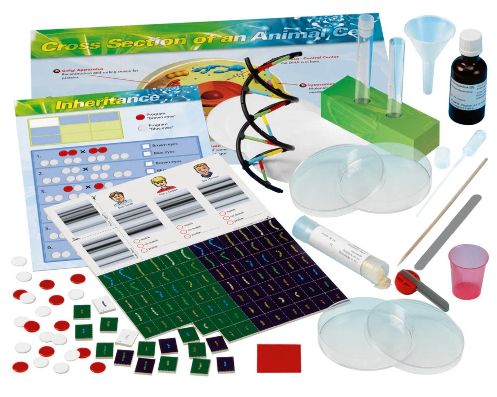 Thames & Kosmos Genetic & DNA Lab - hip-kid