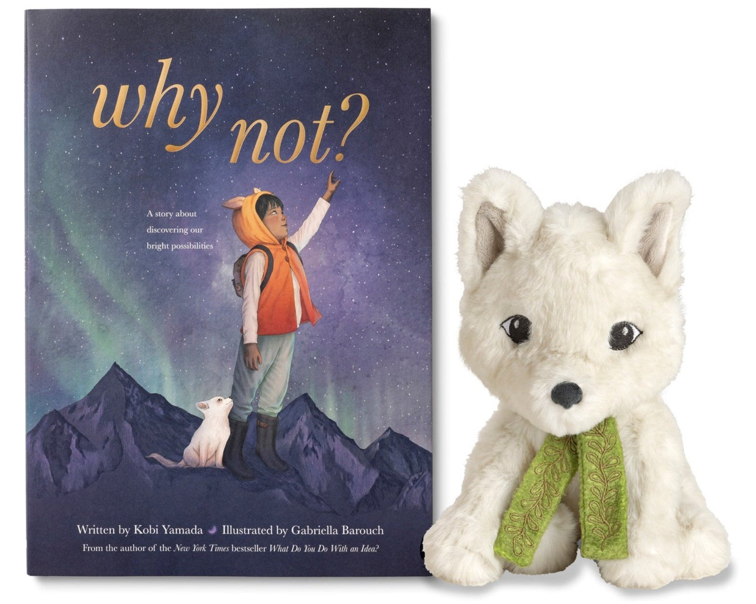 Why Not - A Storybook & Plush - hip-kid