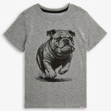 Appaman Grey Heather Graphic Short Sleeve Tee