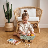Speedy Monkey Croco Xylo & Activity Pull Along
