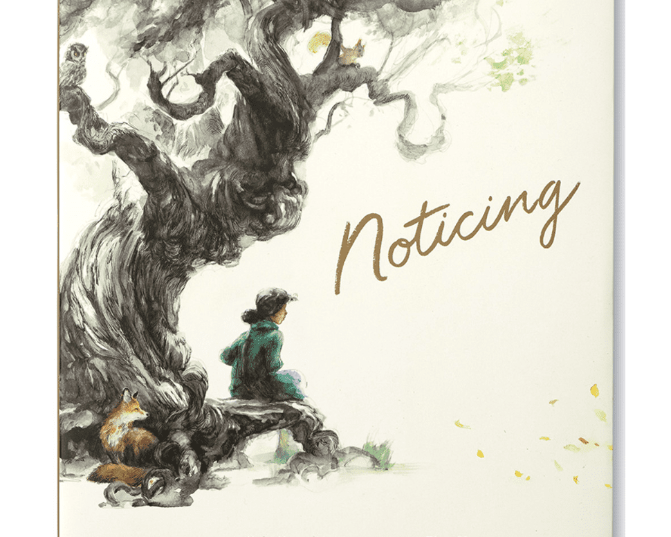 Noticing - hip-kid