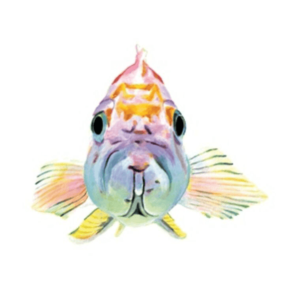 Tattly Neon Fish Face Tattoo Pair - hip-kid
