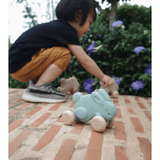 Plan Toys Push Along Bunny - Blue