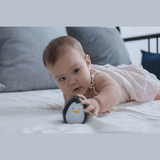 Plan Toys Penguin