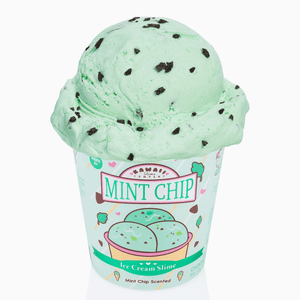 Kawaii Slime Company Mint Chip Scented Ice Cream Pint Slime