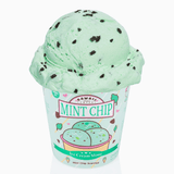 Kawaii Slime Company Mint Chip Scented Ice Cream Pint Slime