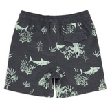 Feather 4 Arrow Classic Boardshort (Black Sand)
