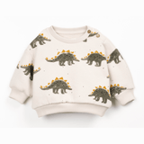 Play Up Dino Fleece Sweater and Flame Rib Trousers