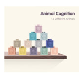 Silicone Building Blocks