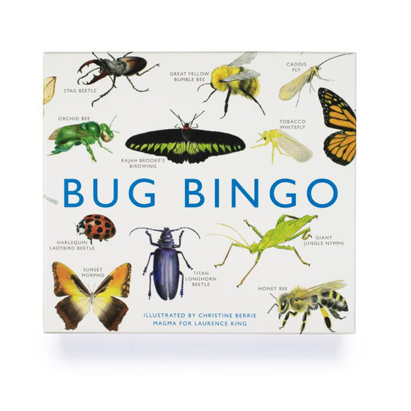 Bug Bingo - hip-kid