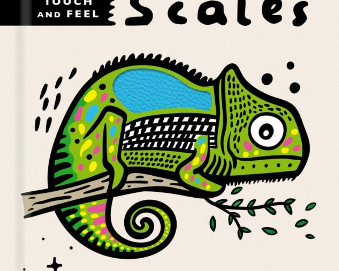 Wee Gallery Touch & Feel Scales - hip-kid