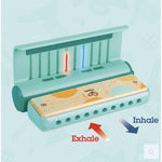 Hape Learn with Lights Harmonica - hip-kid