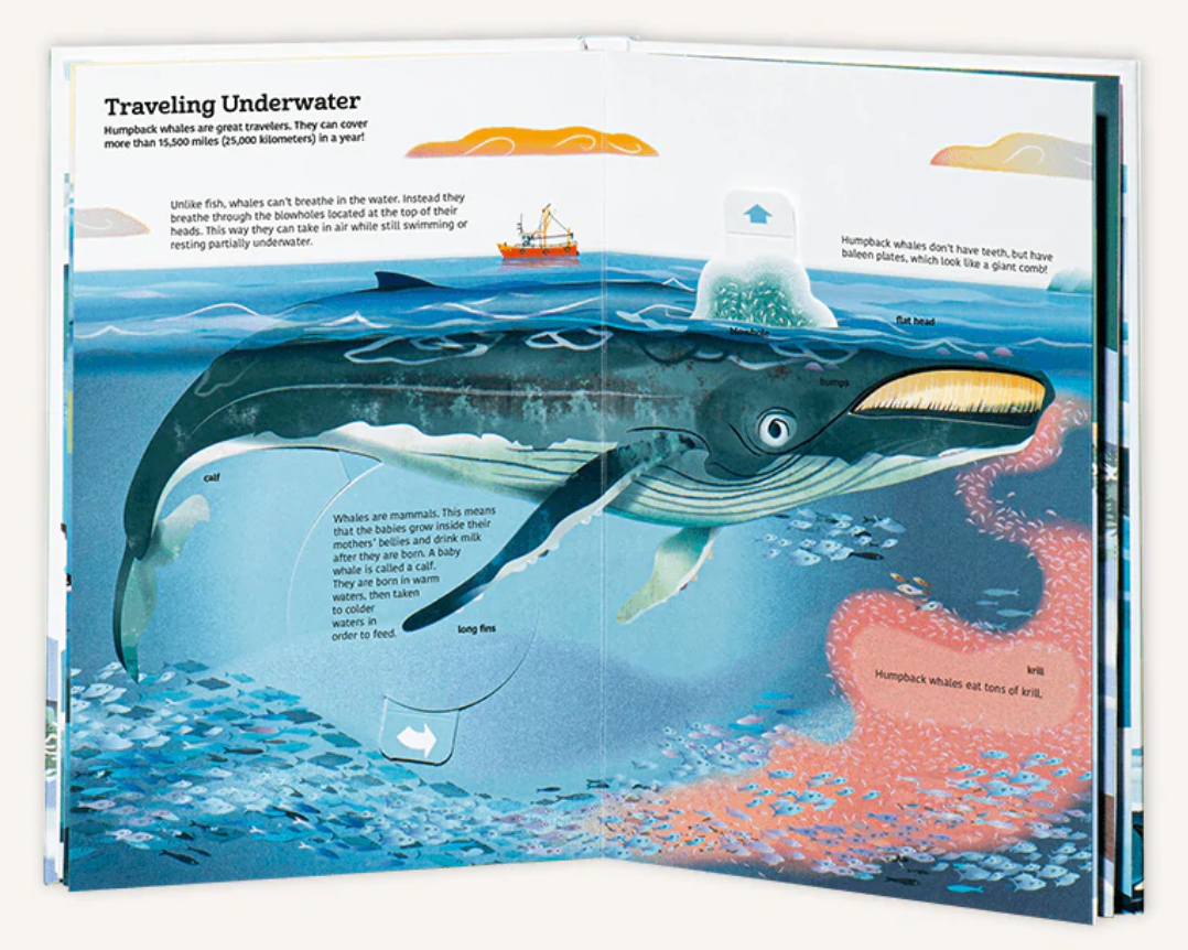 Ultimate Spotlight: Polar Aninmals - hip-kid