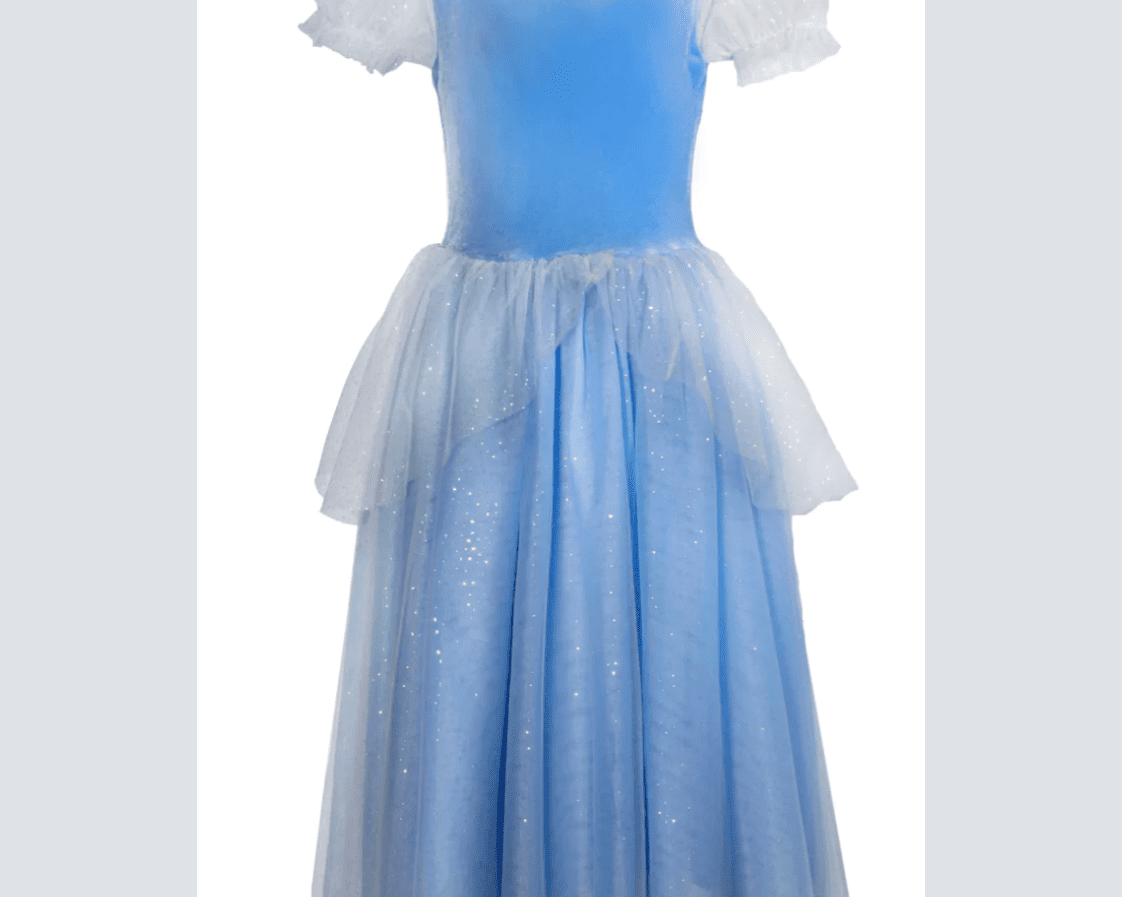 Joy by Teresita Orillac Princess Cinderella Blue Costume Dress - hip-kid