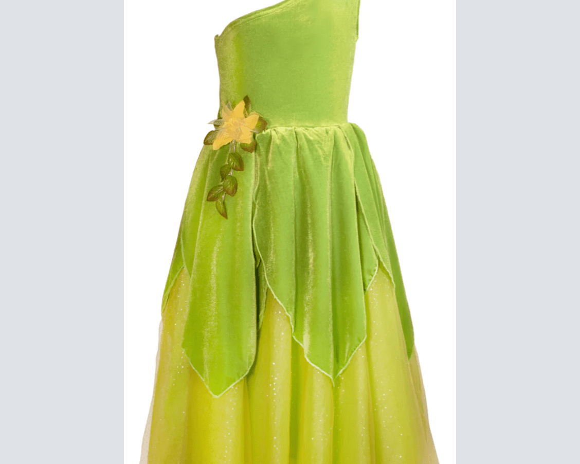 Joy by Teresita Orillac The Frog Princess or Tinker Fairy Costume Dress - hip-kid