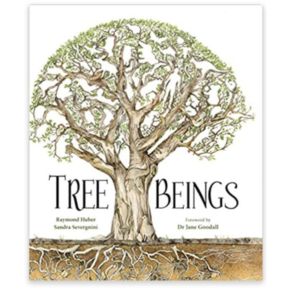Tree Beings-HACHETTE-hip-kid