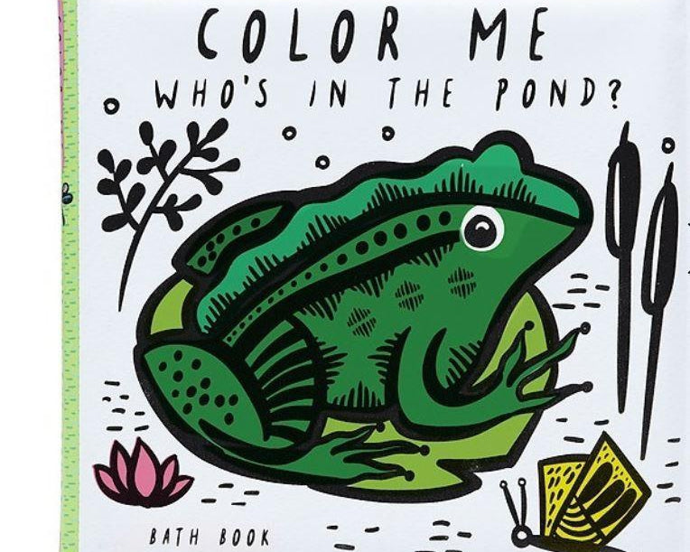 Wee Gallery Color Me: Who's in the Pond-HACHETTE-hip-kid
