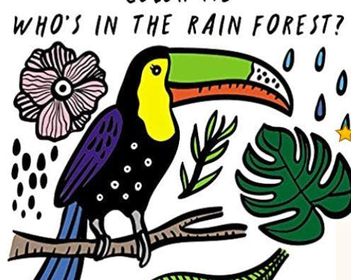 Wee Gallery Color Me: Who's in the Rain Forest? Bath Book-HACHETTE-hip-kid