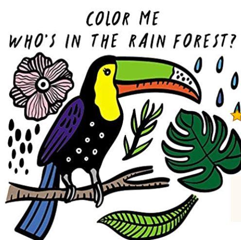 Wee Gallery Color Me: Who's in the Rain Forest? Bath Book-HACHETTE-hip-kid